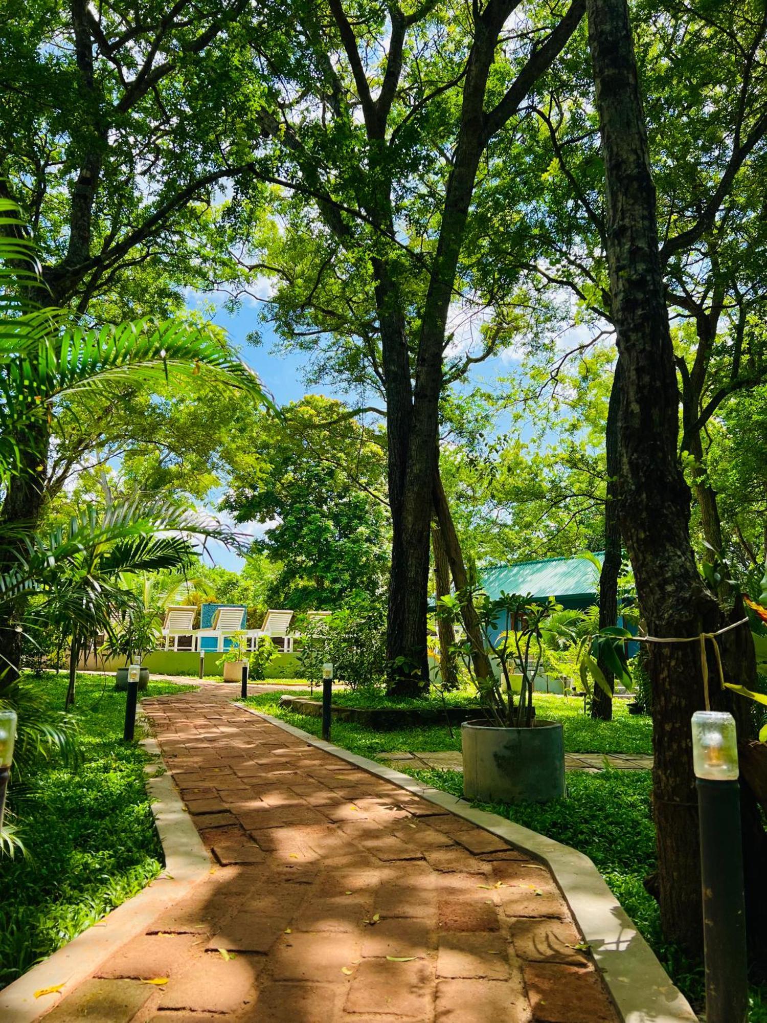 Maritime Nest Cabanas Tangalle Εξωτερικό φωτογραφία